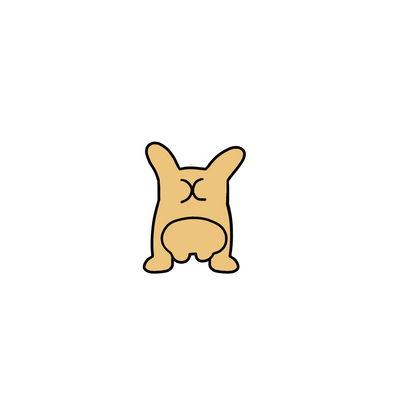 Rainbow Frogs - Sticker Pack