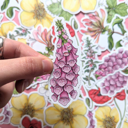 Wildflowers - Sticker Pack