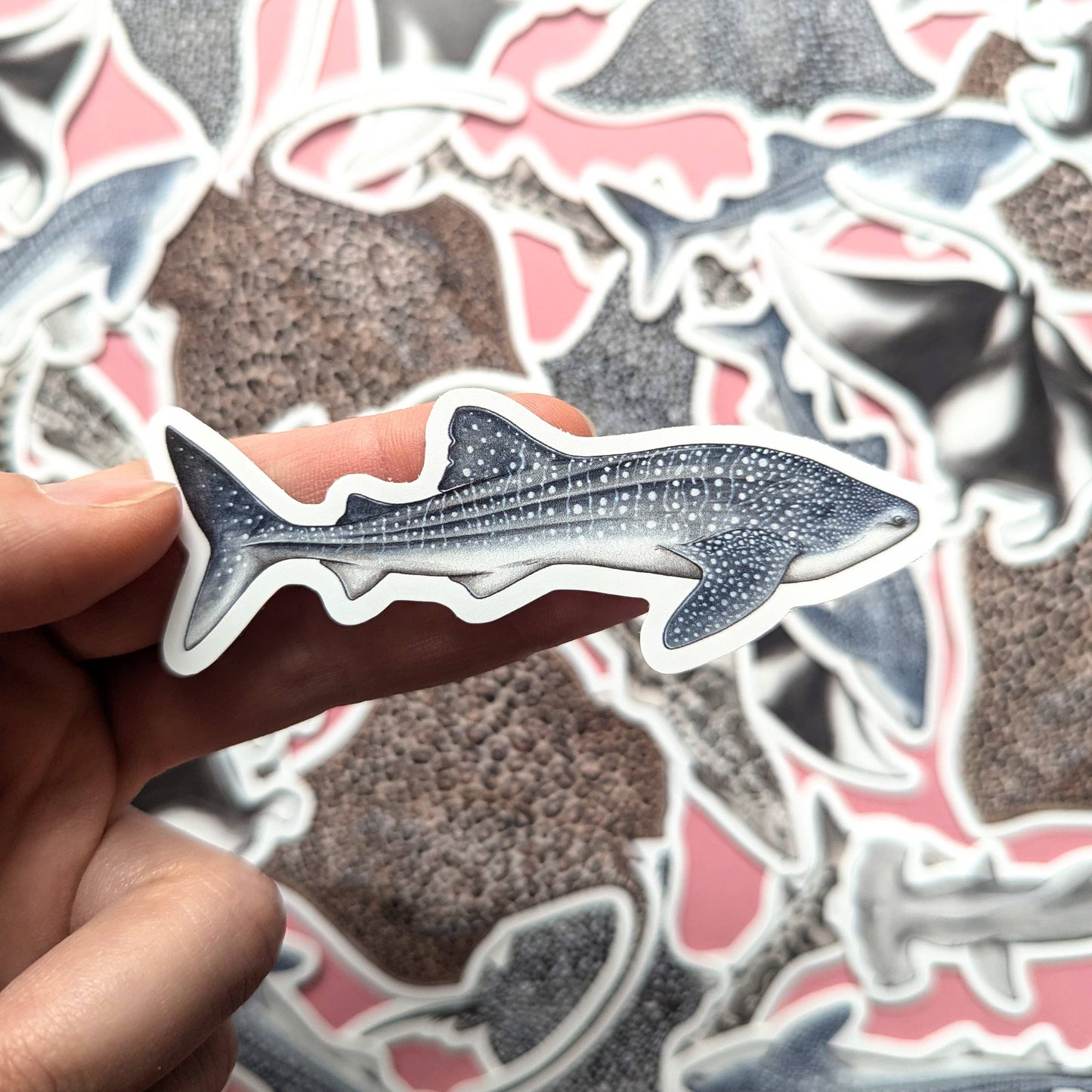 Sharks & Rays - Sticker Pack
