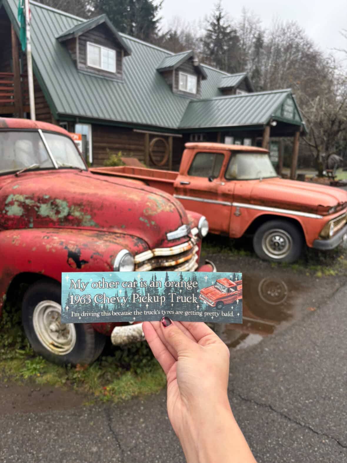 Twilight - Magnetic Bumper Sticker