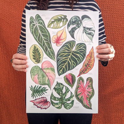 Tropical Leaves - Print