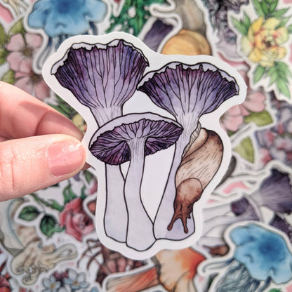 Mushroom - Sticker Pack
