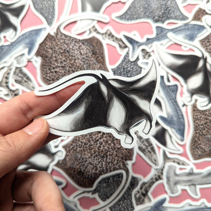 Sharks & Rays - Sticker Pack