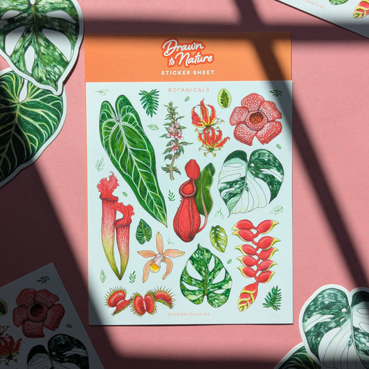 Botanicals Sticker Sheet - Nature Stickers