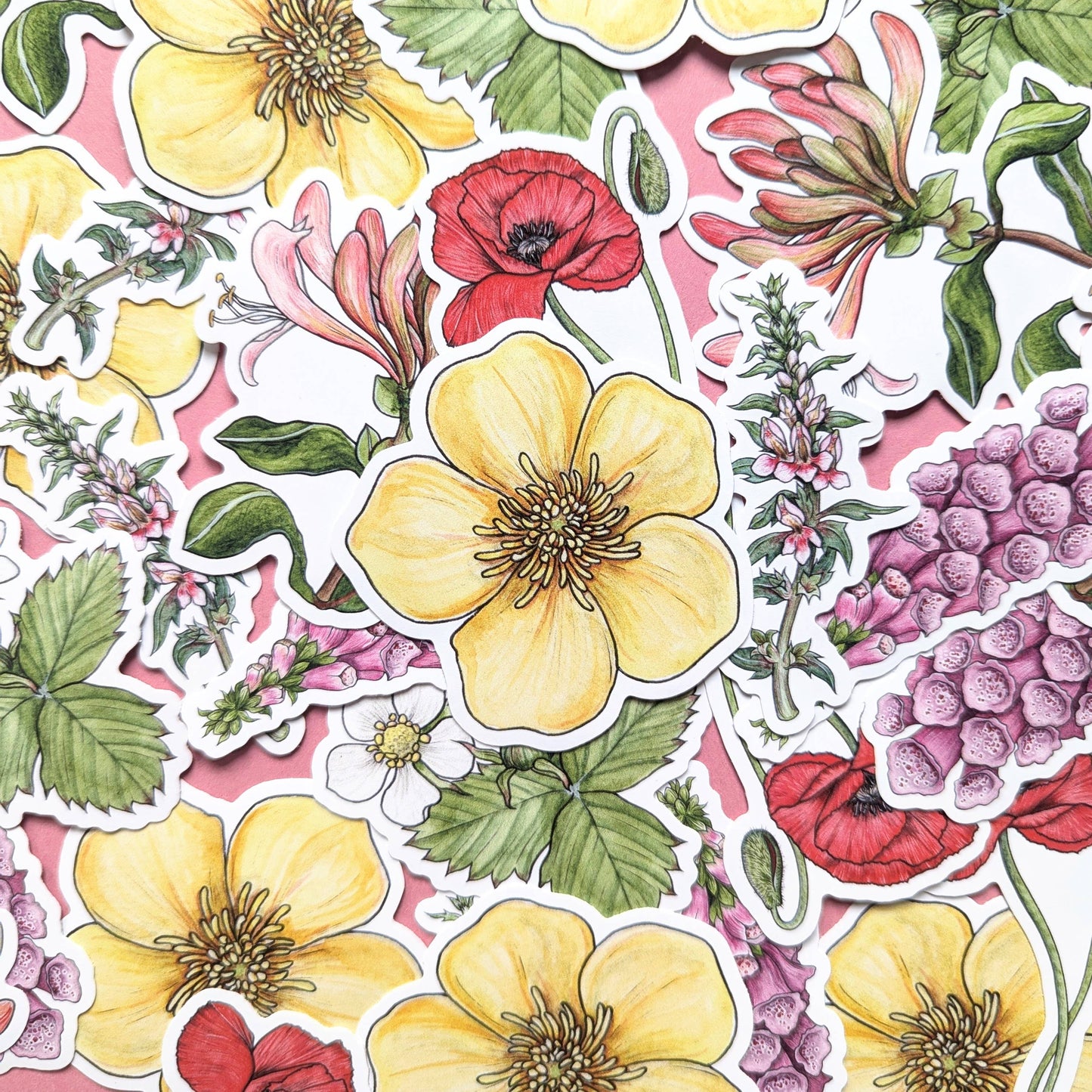 Wildflowers - Sticker Pack