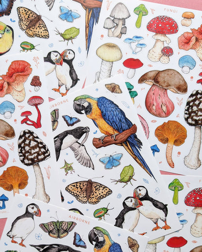 Fungi - Sticker Sheet