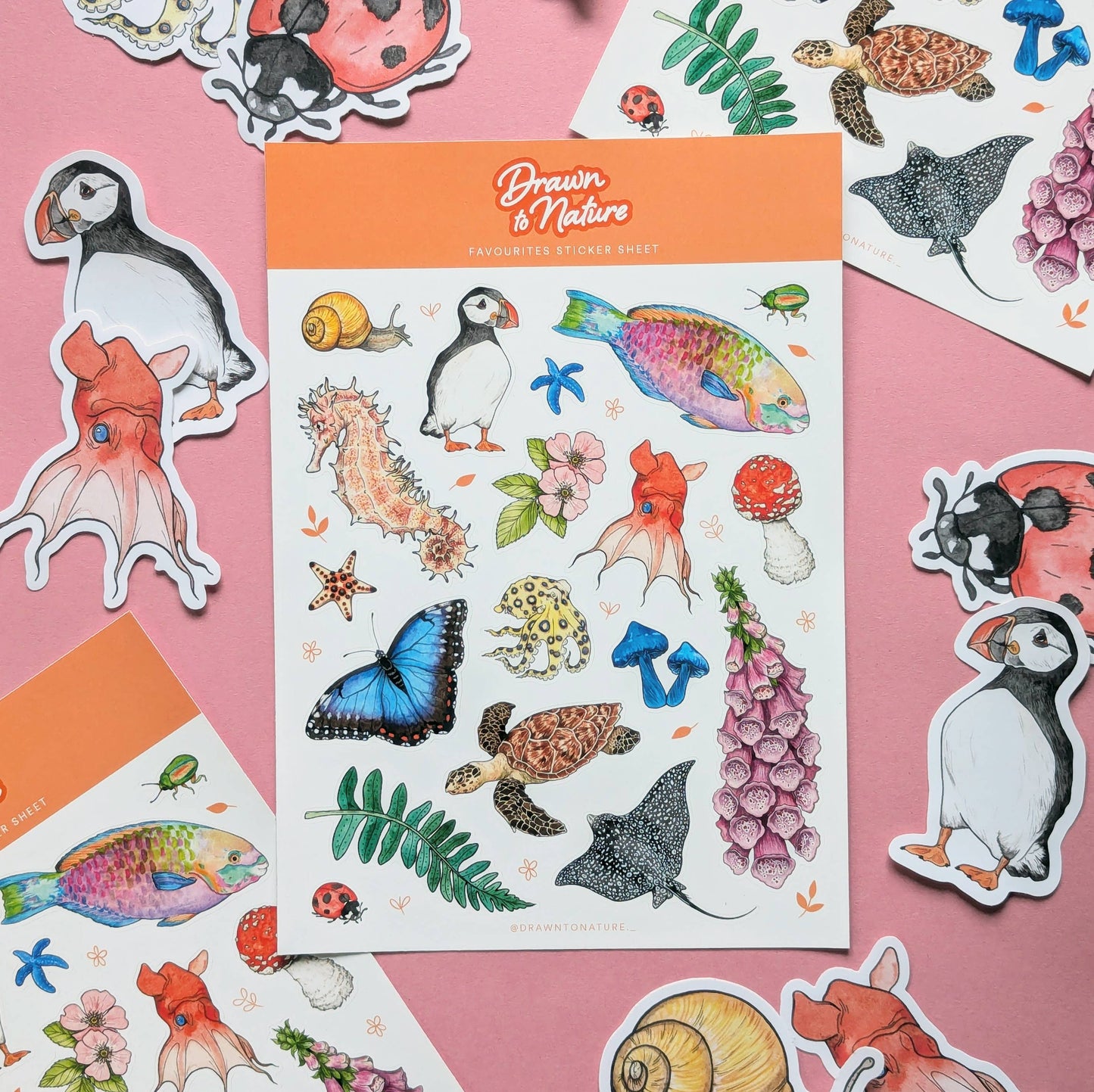 Nature Sticker Sheet - Wildlife Favourites Stickers