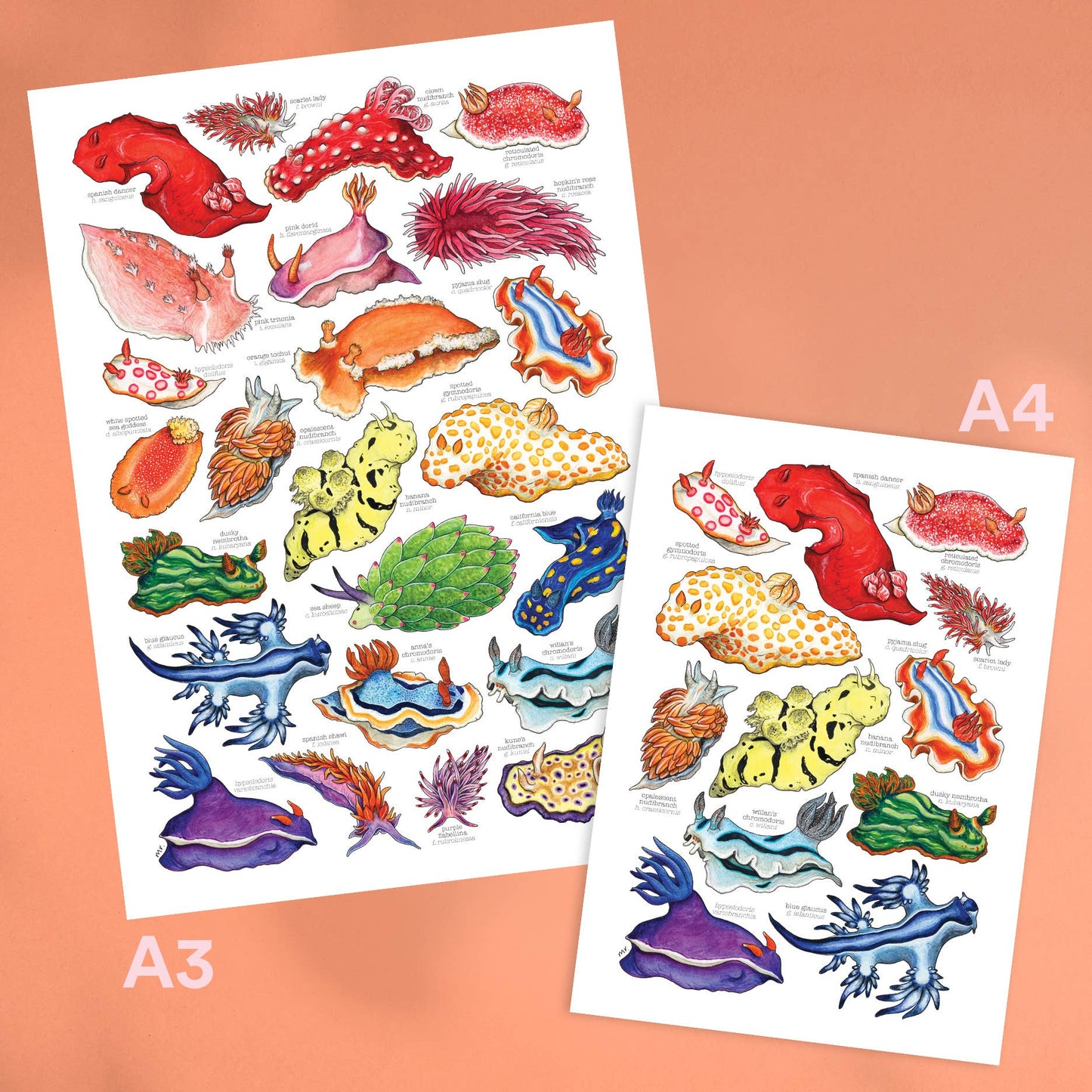 Rainbow Sea Slugs - A5 Print