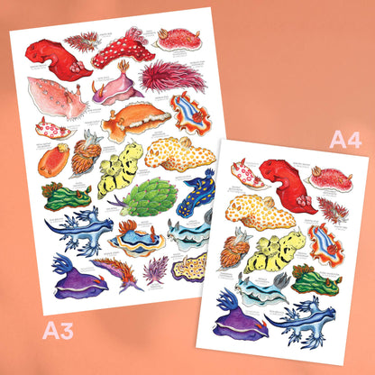 Rainbow Sea Slugs - A5 Print