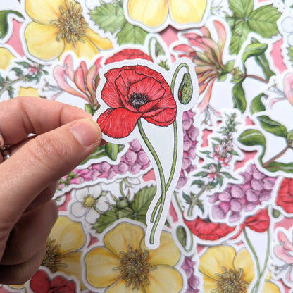 Wildflowers - Sticker Pack