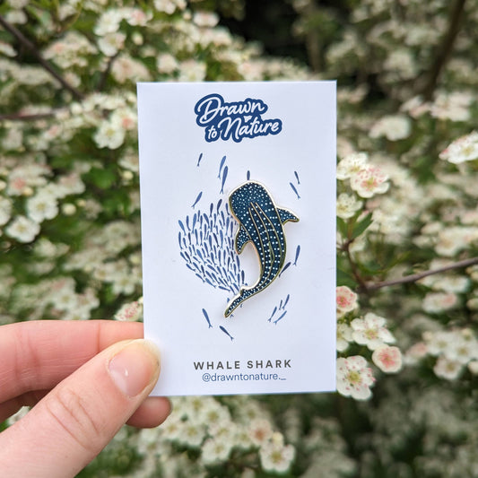 Whale Shark Pin - Enamel Pin
