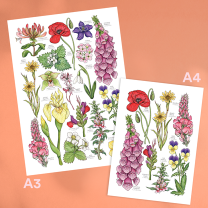 Wildflowers - Print