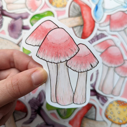 Rainbow Mushroom - Sticker Pack