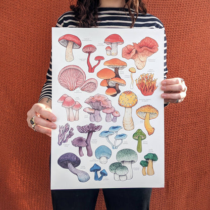 Rainbow Mushroom Print - Mushrooms Print