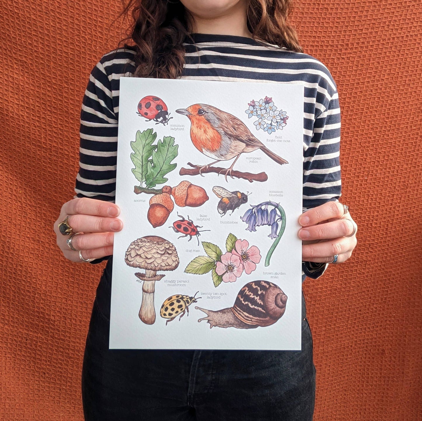 British Wildlife - Print