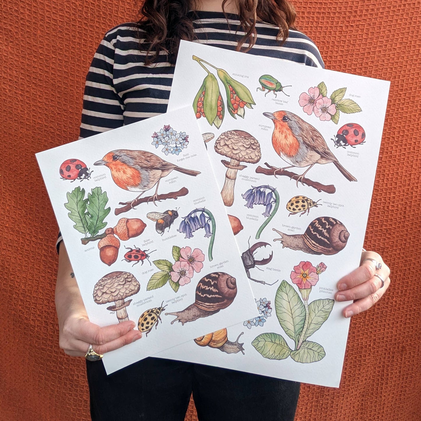 British Wildlife - Print