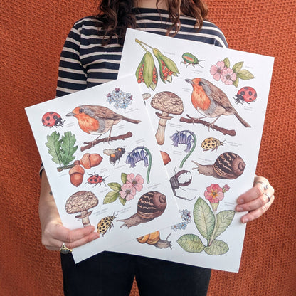 British Wildlife - Print