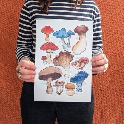 Mushrooms - Print