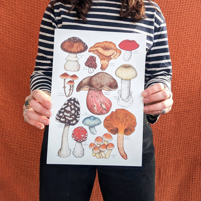 Toxic Mushrooms - Print