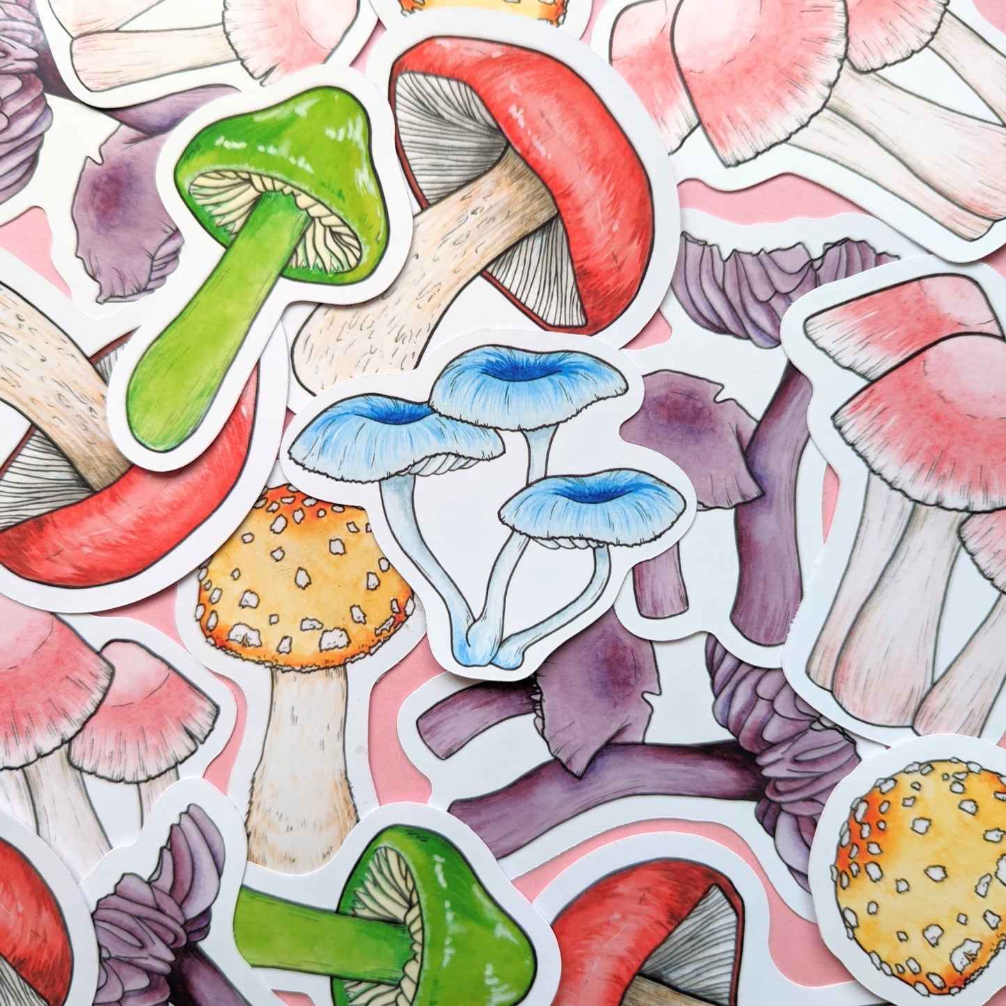 Rainbow Mushroom - Sticker Pack