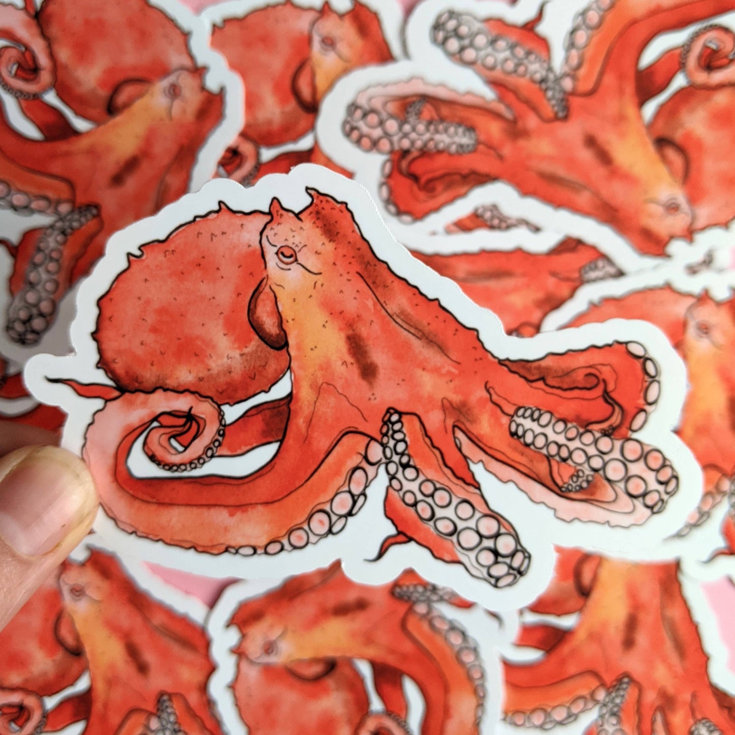 Cephalopods Sticker Pack - Octopus Stickers