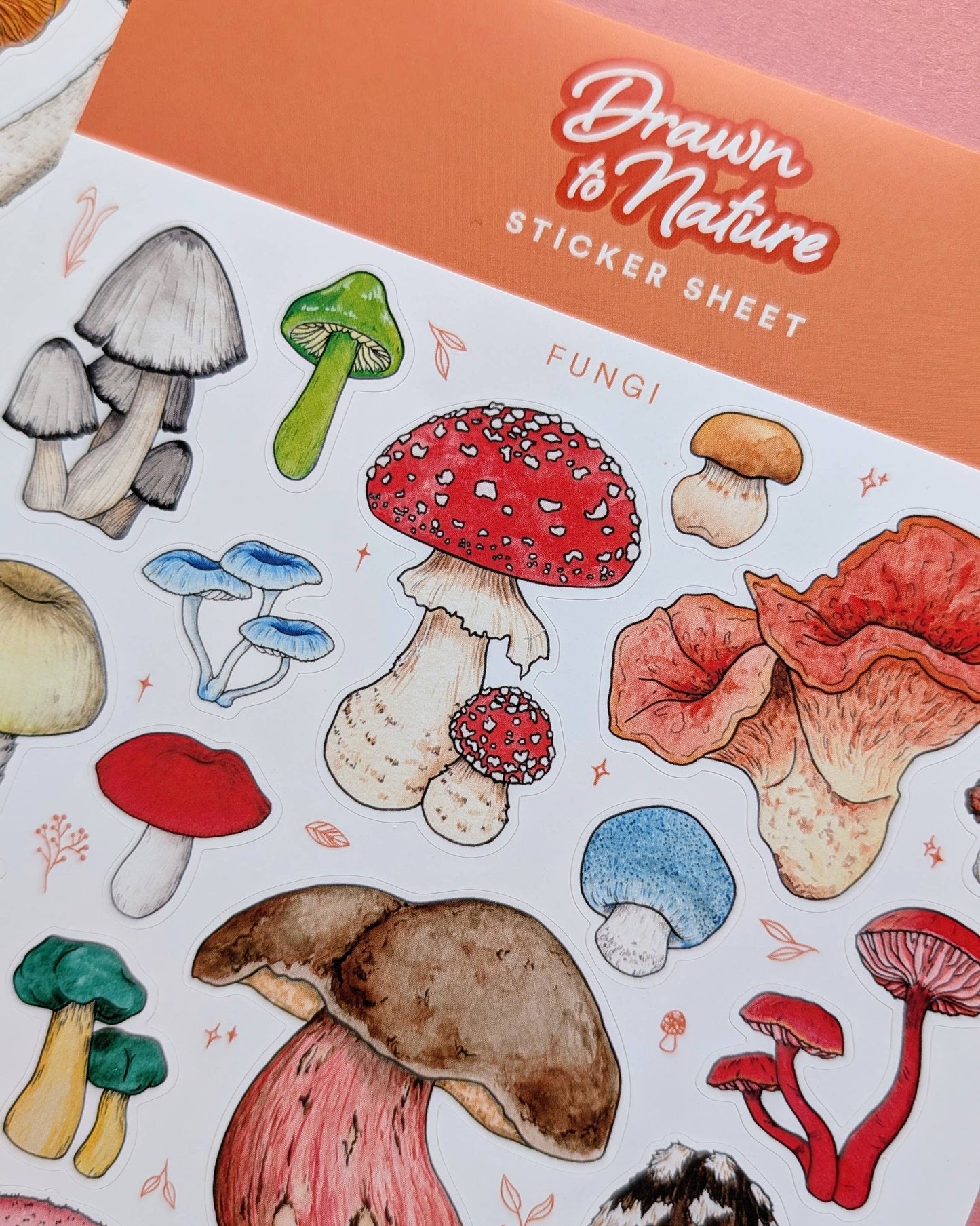 Fungi - Sticker Sheet