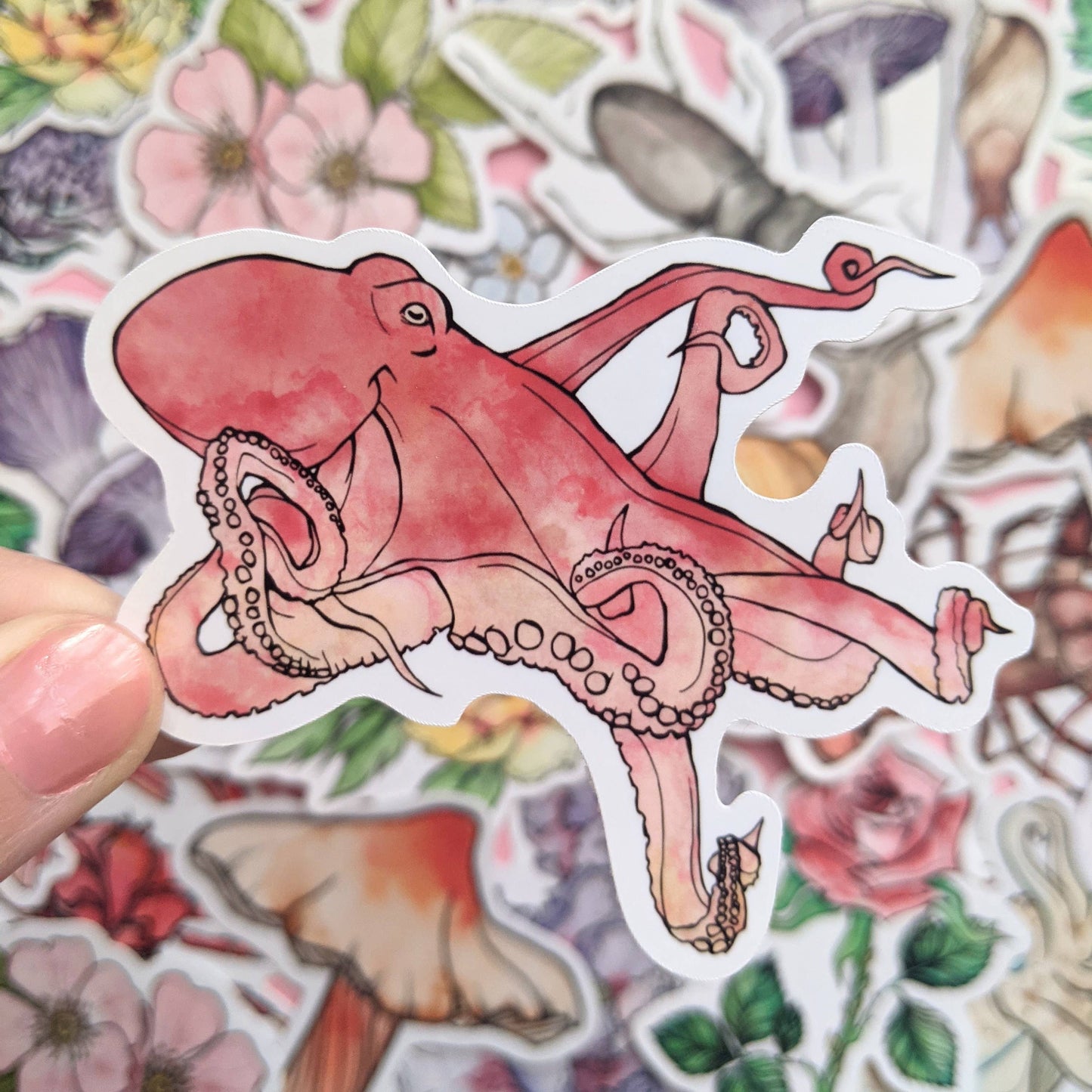 Cephalopods Sticker Pack - Octopus Stickers