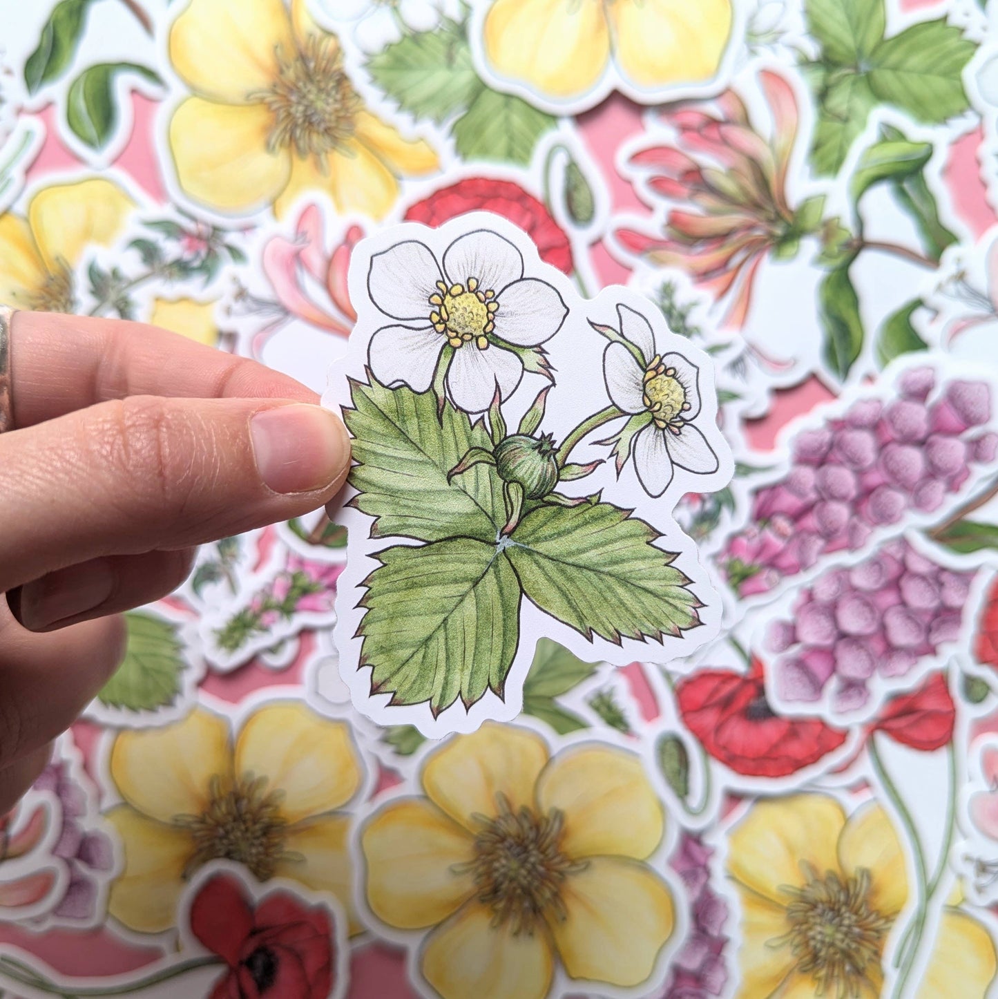 Wildflowers - Sticker Pack