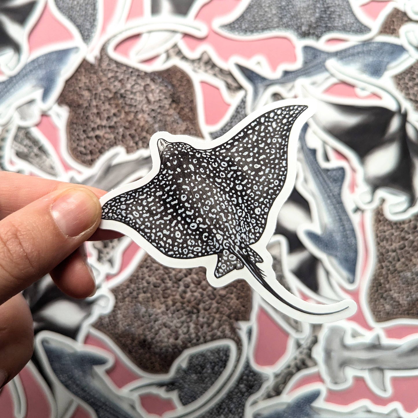 Sharks & Rays - Sticker Pack