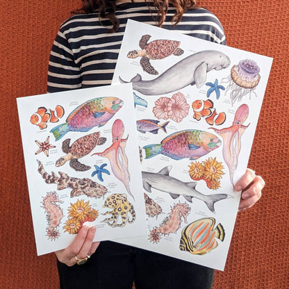 Great Barrier Reef - Print