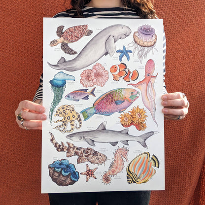 Great Barrier Reef - Print