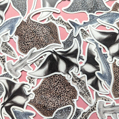 Sharks & Rays - Sticker Pack