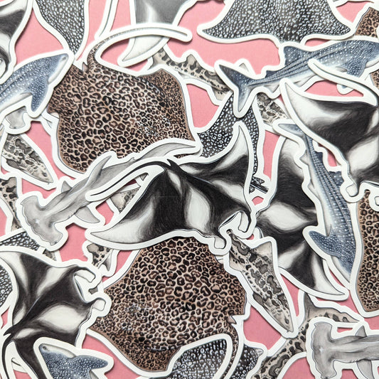 Sharks & Rays - Sticker Pack
