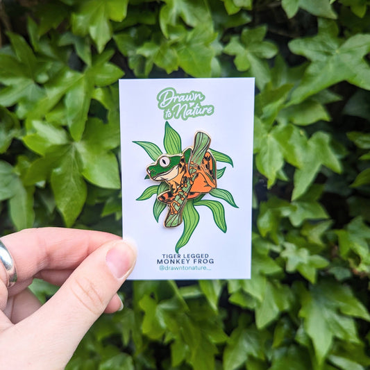Tree Frog Enamel Pin - Tiger Leg Monkey Frog - Nature Pins