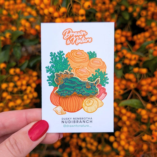 Sea Slug - Enamel Pin
