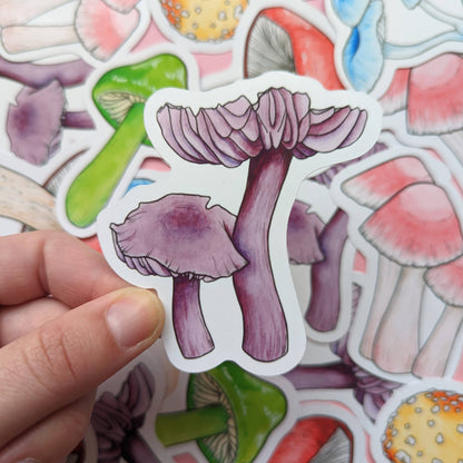 Rainbow Mushroom - Sticker Pack