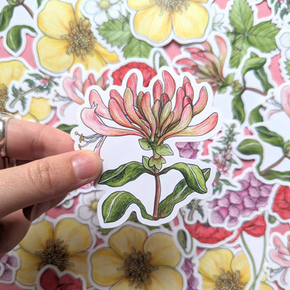 Wildflowers - Sticker Pack