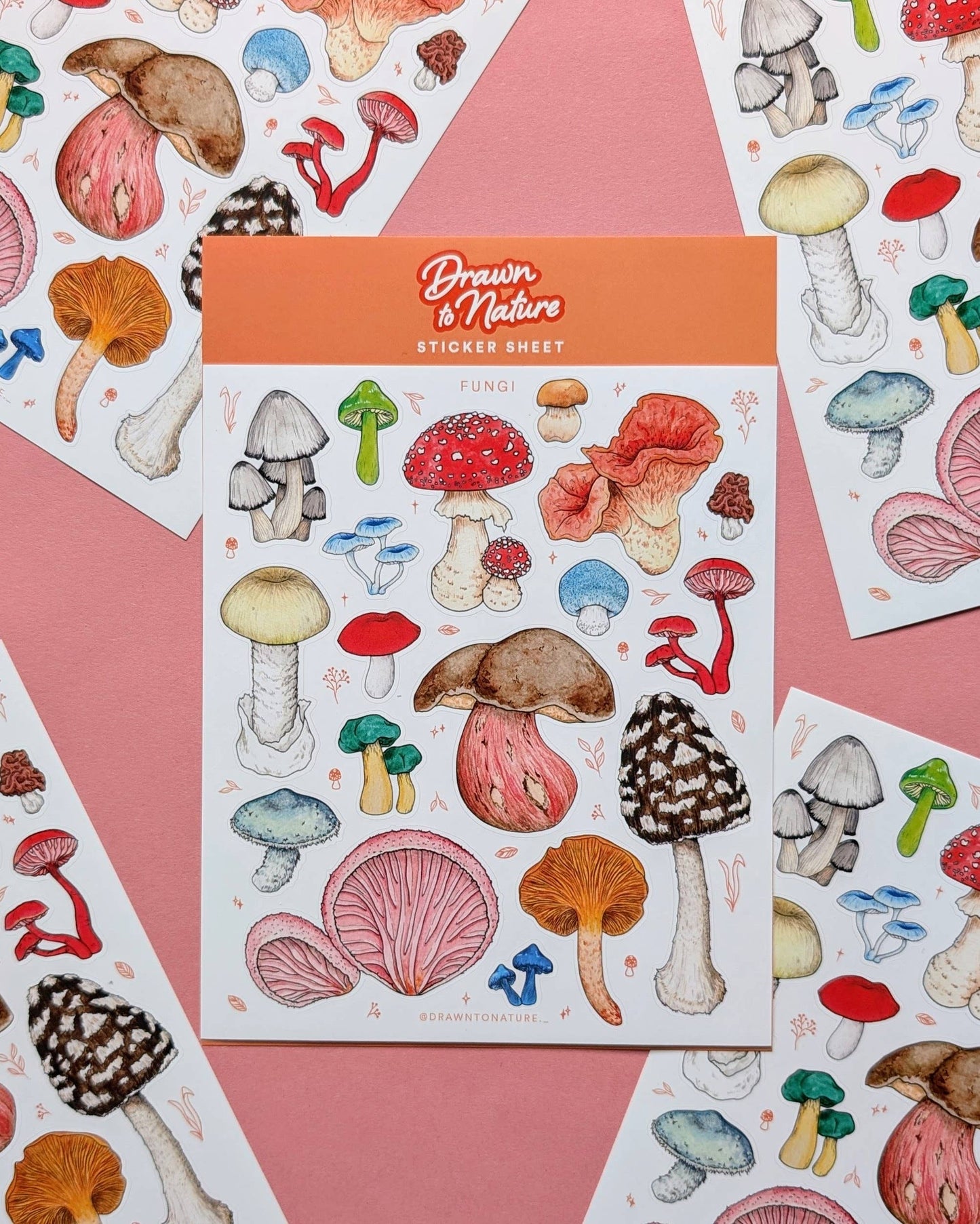 Fungi - Sticker Sheet