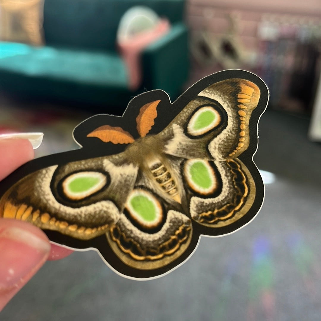 Daytime Moth - Sticker