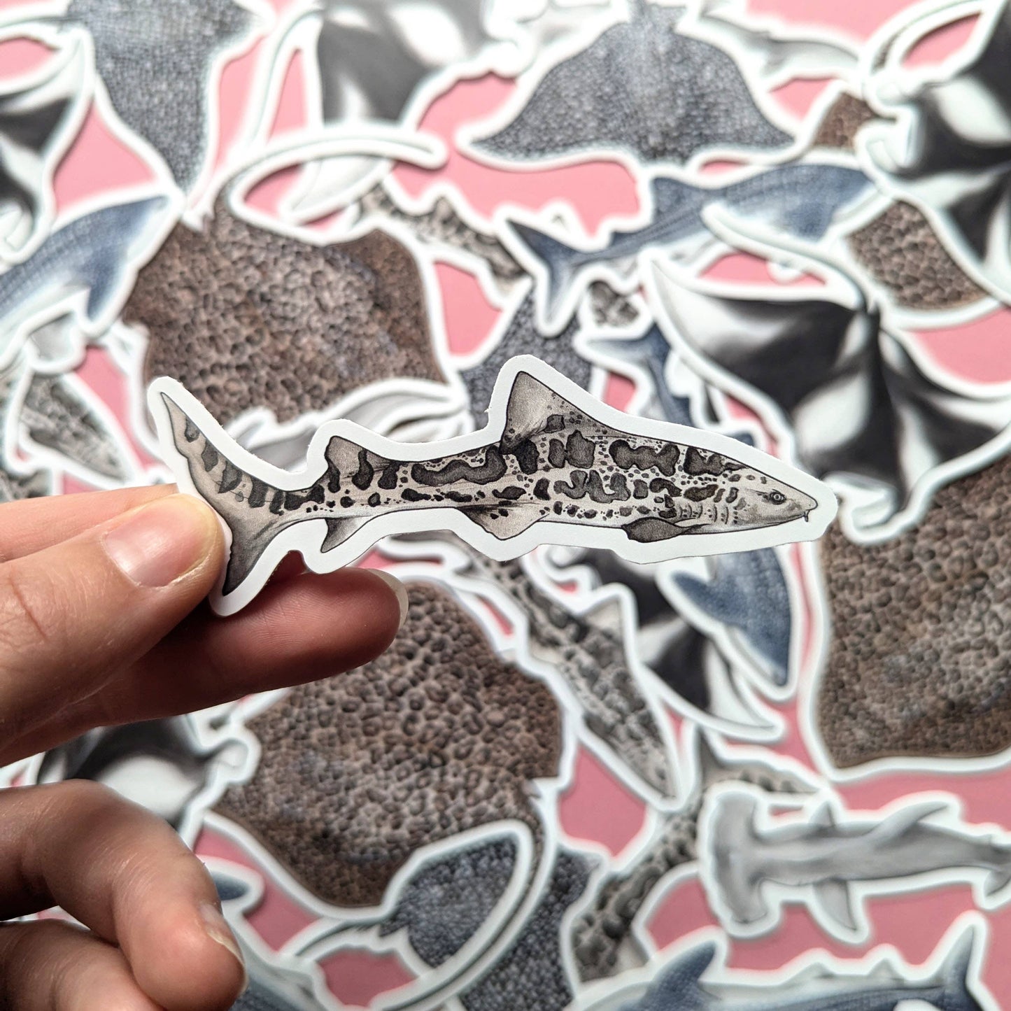 Sharks & Rays - Sticker Pack