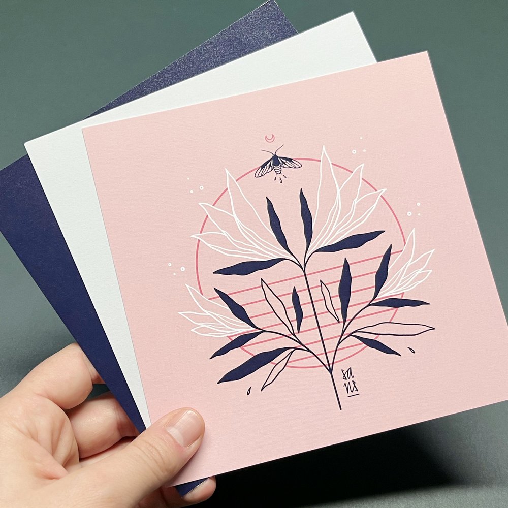 Moths - Postcards