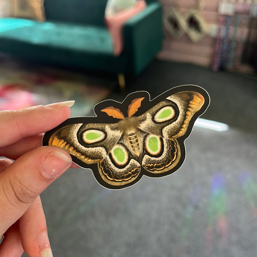 Daytime Moth - Sticker