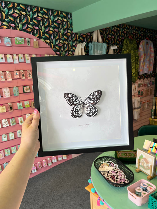 Paper Kite Butterfly - Paper Taxidermy Frame