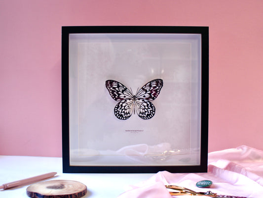 Paper Kite Butterfly - Paper Taxidermy Frame
