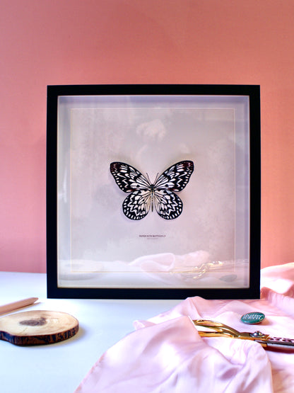 Paper Kite Butterfly - Paper Taxidermy Frame