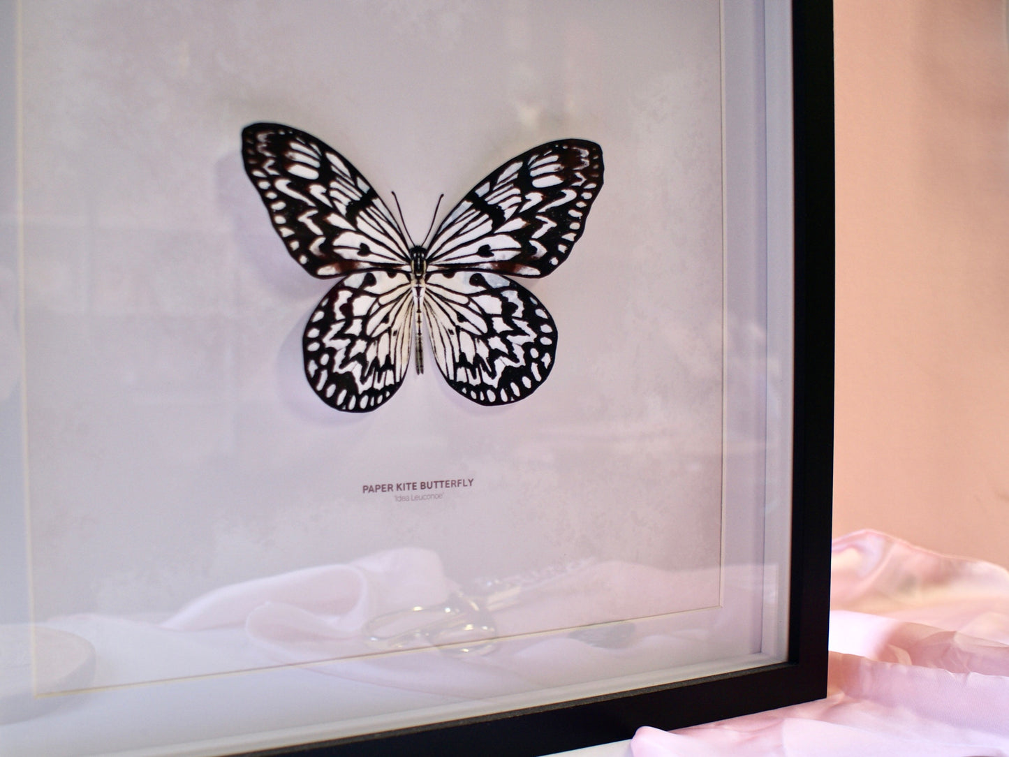 Paper Kite Butterfly - Paper Taxidermy Frame