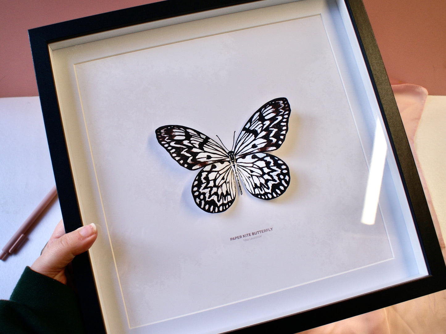 Paper Kite Butterfly - Paper Taxidermy Frame