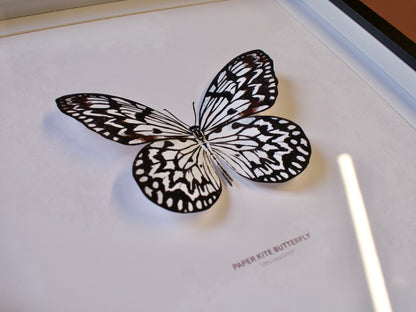 Paper Kite Butterfly - Paper Taxidermy Frame