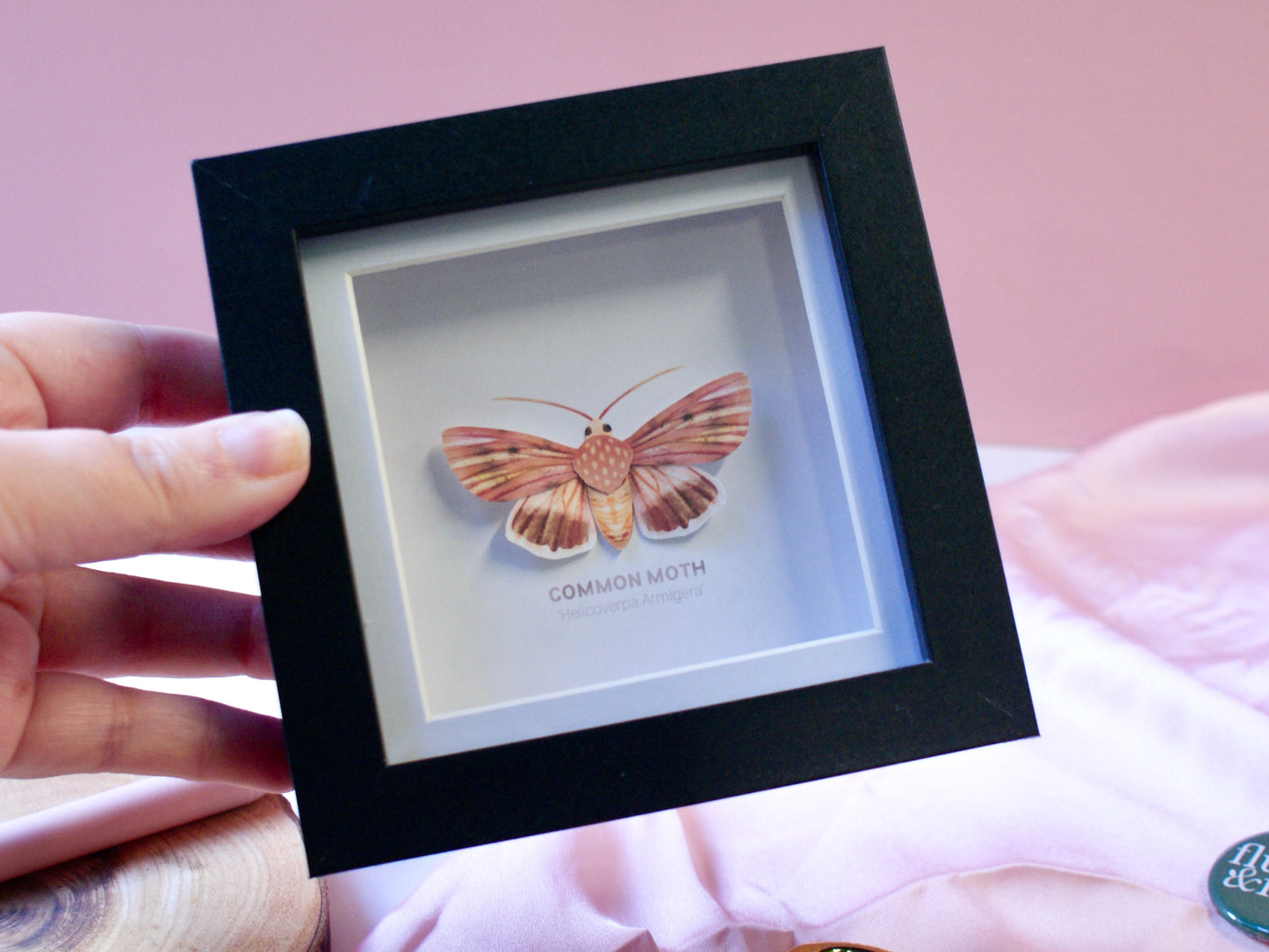 Common Moth - Paper Taxidermy Frame
