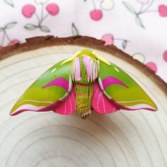 Elephant Hawk Moth - Handmade Pin - Flutter & Fern